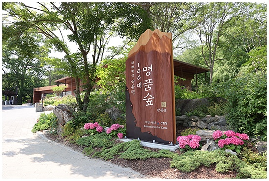 광릉숲, 대한민국 ‘100대 명품숲’ 선정