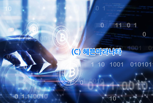 가상자산 시장 사이클의 핵심 요소는?