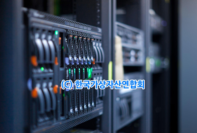 메인넷 여부에 따른 가상자산 분류는?