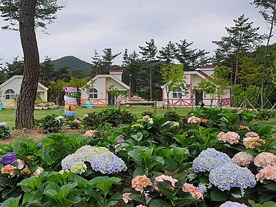 시원한 여름휴가는 국립자연휴양림에서