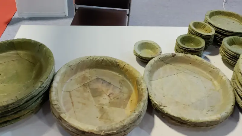 보도사진